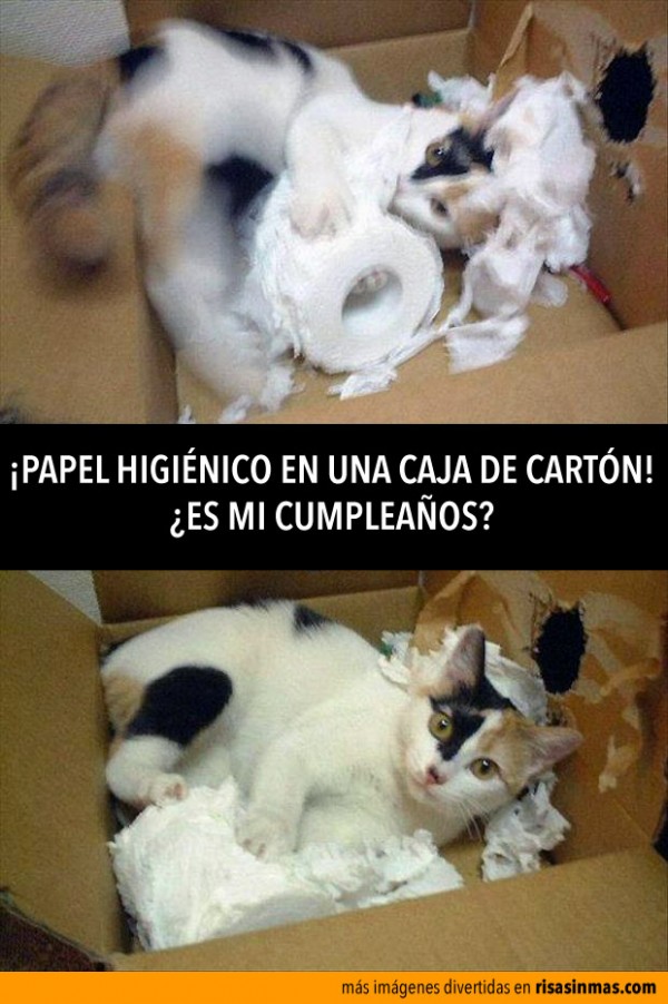 ¿Es mi cumpleaños?